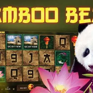 Bamboo Bear
